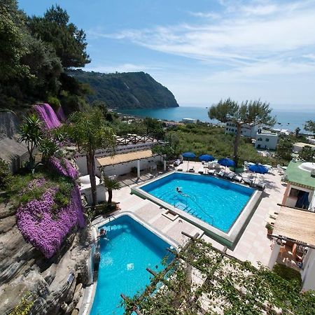 Hotel Villa Bianca Forio di Ischia エクステリア 写真